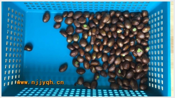 建邺教育信息网