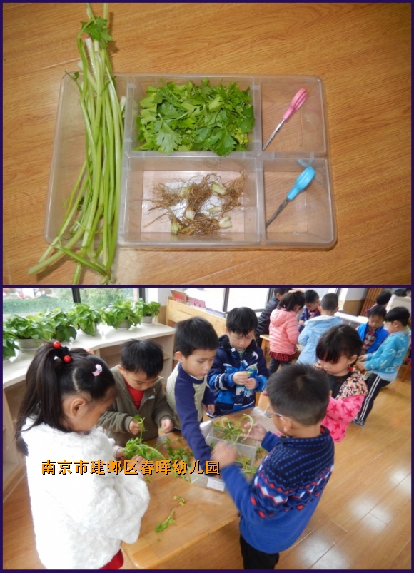 附件：3.jpg