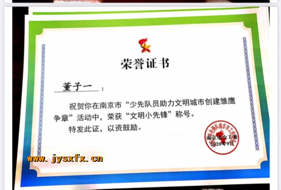 附件：市级雏鹰争章3.jpg