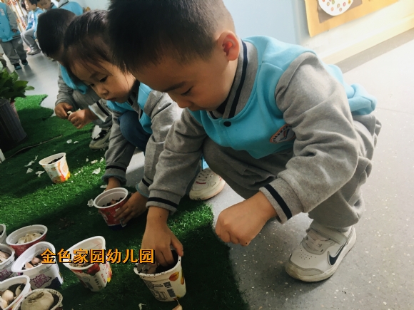 附件：IMG_E2464.JPG
