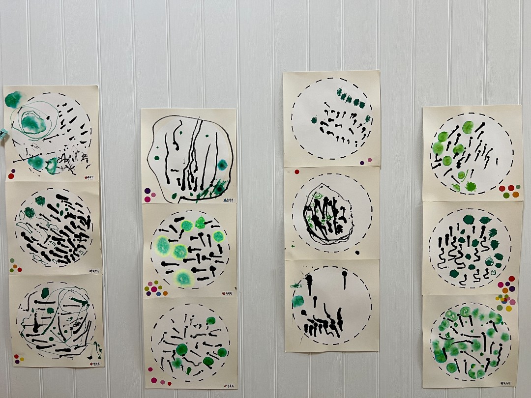 20230329132304067.jpg IMG_4510.jpg