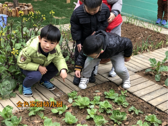 附件：IMG_1307.JPG