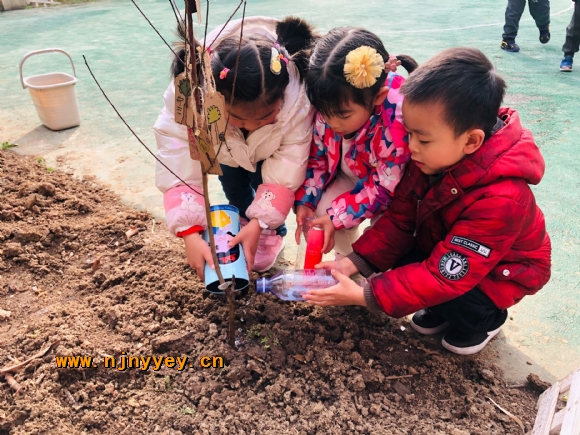 附件：QQ图片20210310152632.jpg
