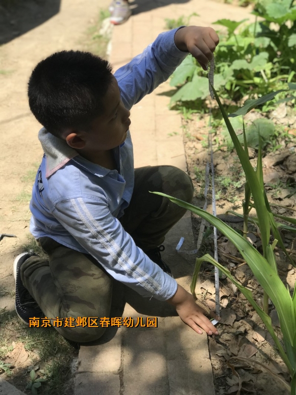 附件：conew_fullsizerender(138).jpg