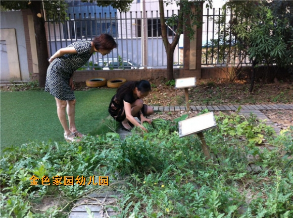 附件：IMG_5645.JPG