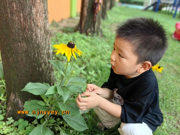 附件：1DA495589643EC76A09F6034868AA0DE.jpg