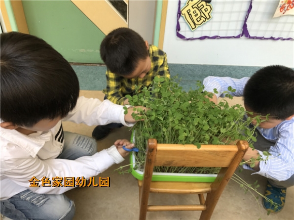 附件：IMG_1724.JPG
