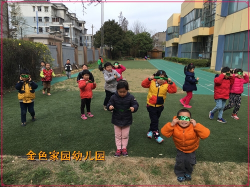 附件：绿色的世界4.jpg