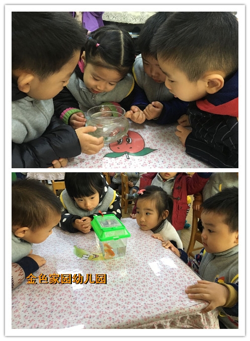 附件：4.jpg