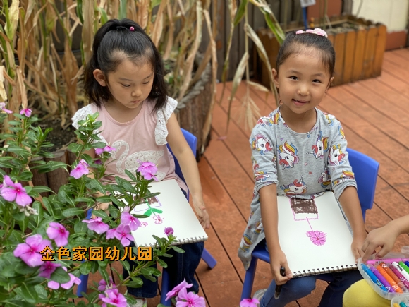 附件：IMG_1746.JPG