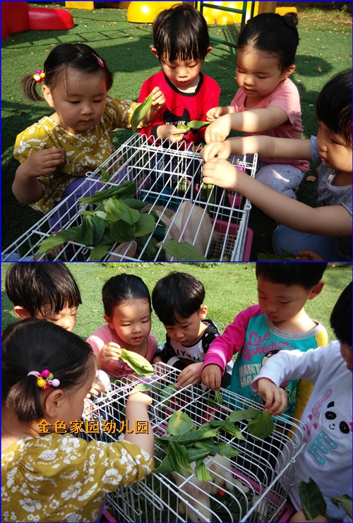 附件：鍏斿瓙5.jpg