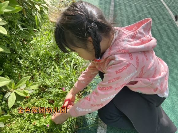 附件:IMG_0361.JPG 附件:IMG_0361.JPG