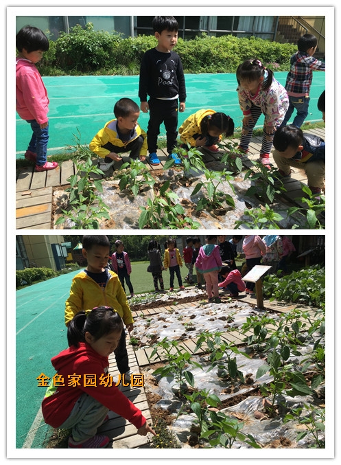 附件：瑙傚療2.jpg