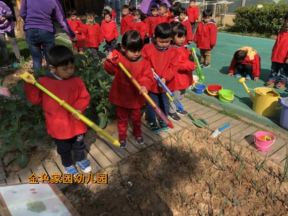附件：IMG_0501.JPG