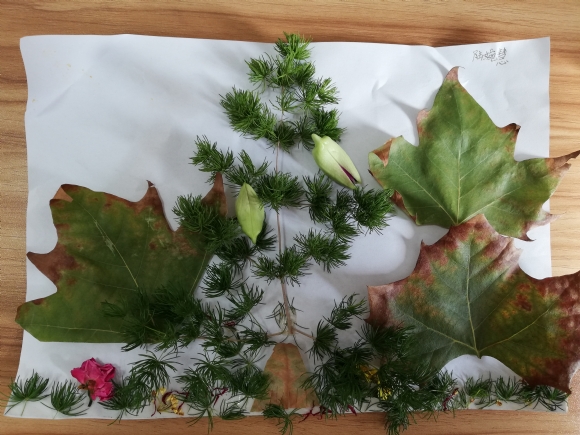 附件：陆婉慧的作品——圣诞树.jpg