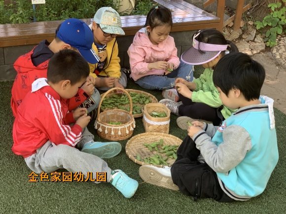 附件：846b9111333669b4eb29341e3febae9.jpg