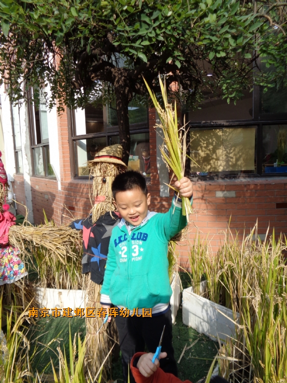 附件：DSC03068.JPG