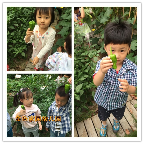 附件：initpintu_鍓湰2.jpg
