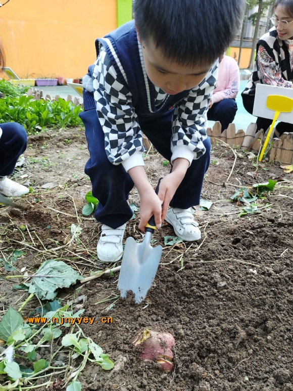 附件：8.jpg