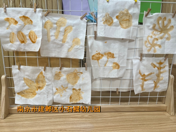 附件：QQ图片20231108133113.jpg