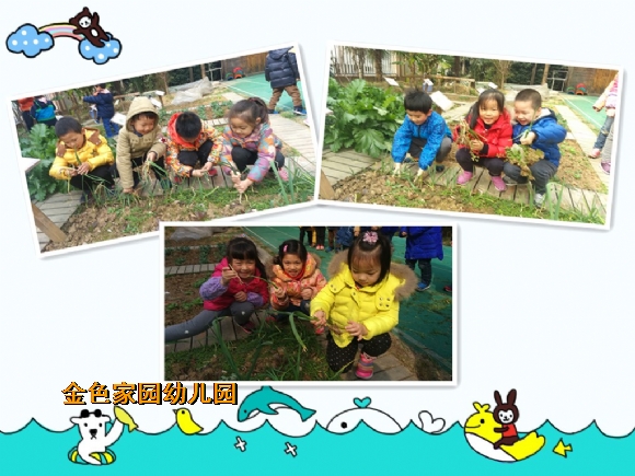 附件：QW.jpg