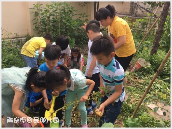 建邺教育信息网