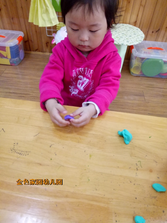 附件：IMG20170426103615.jpg