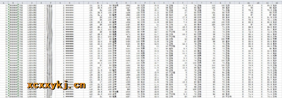 附件：体质报告.jpg