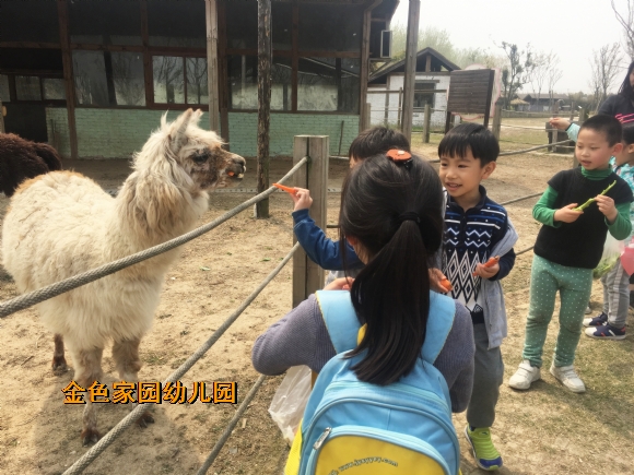 附件：IMG_6342.jpg