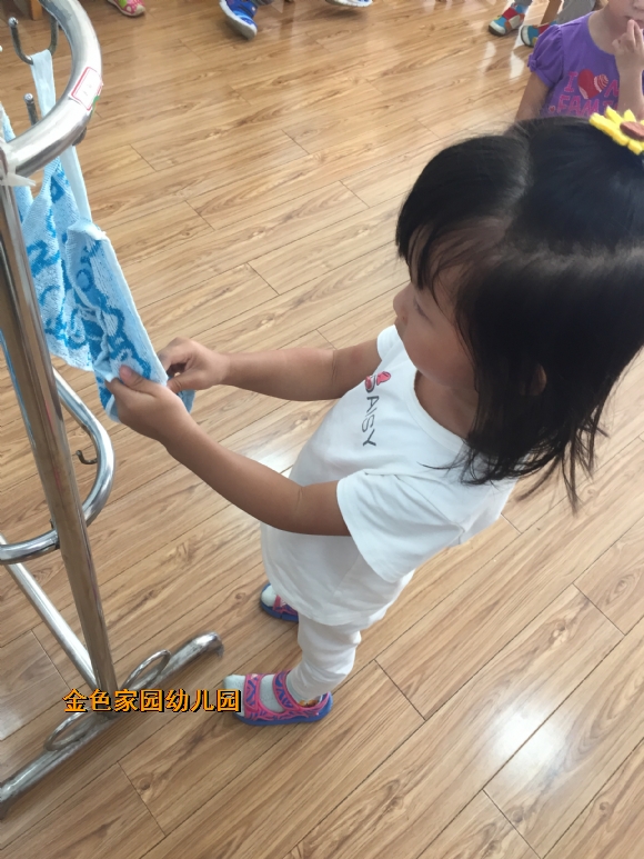 附件：IMG_6176.JPG