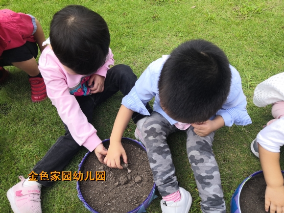 附件：IMG_20200923_095829.jpg