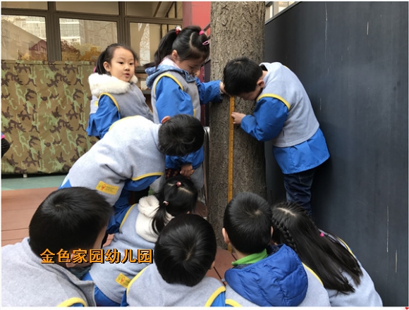 附件：IMG_1567.JPG
