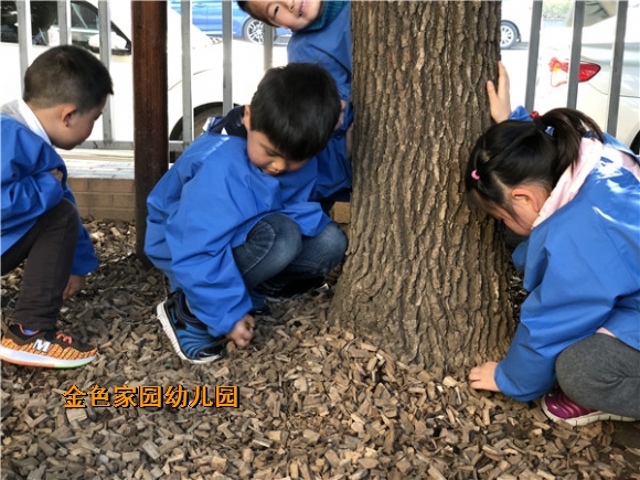 附件：IMG_0885.jpg