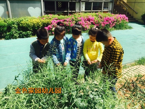 附件：1.jpg