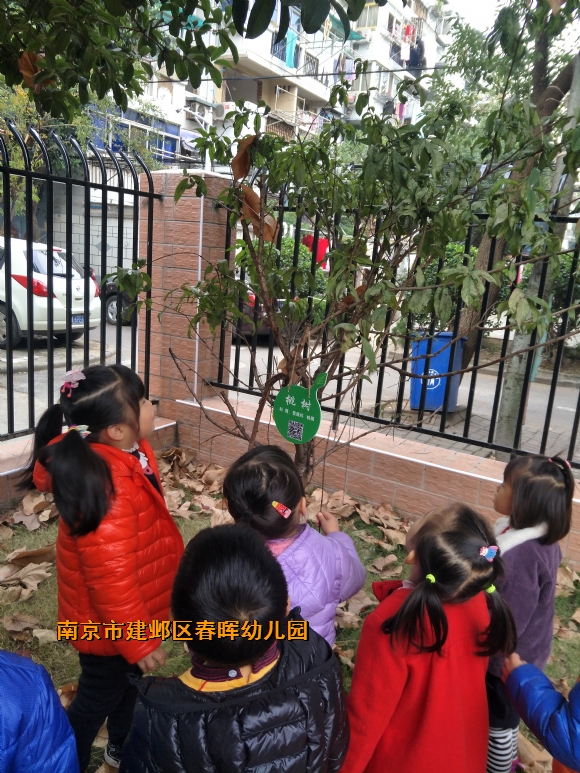 附件：IMG20171121151516.jpg