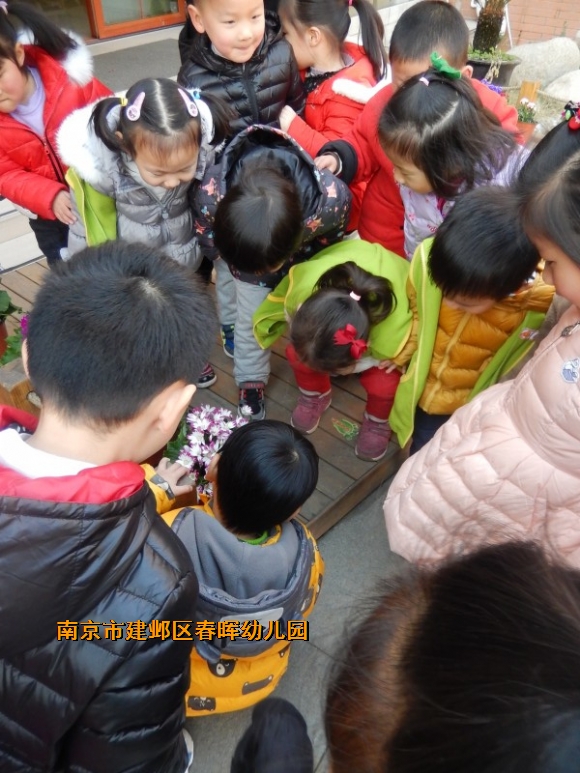附件：conew_dscn6689.jpg