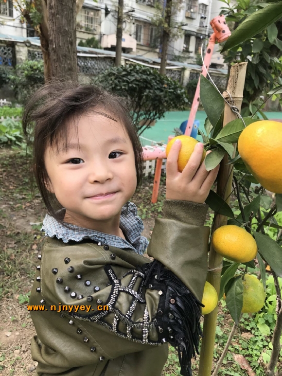 附件：3.jpg