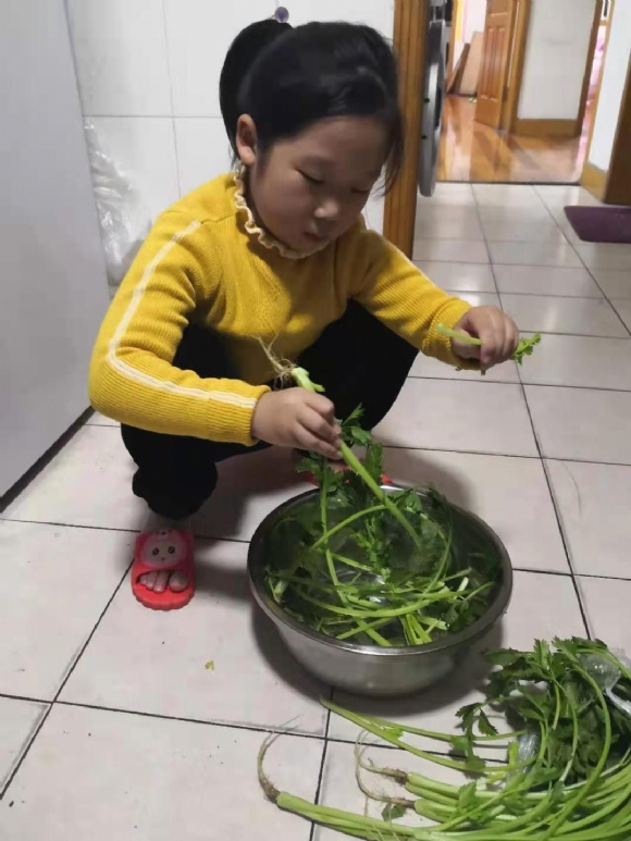 附件：择菜.jpg