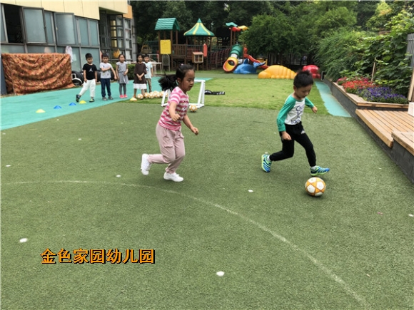 附件：IMG_3384.jpg