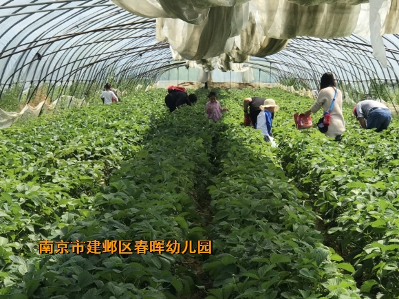 附件：conew_img_3493.jpg