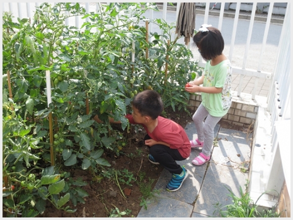 附件：IMG_4022.JPG