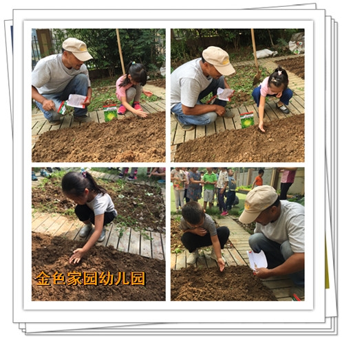 附件：4.jpg