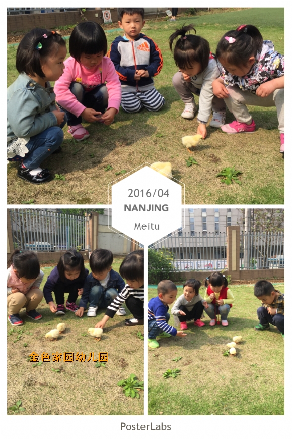 附件：IMG_7018.JPG