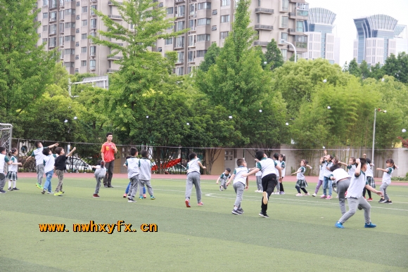 附件：IMG_9295.JPG