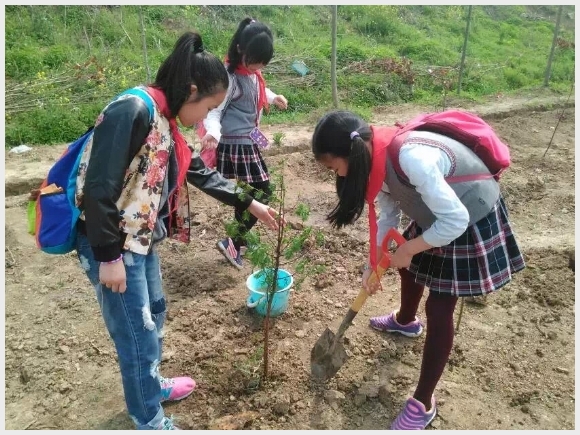 建邺教育信息网