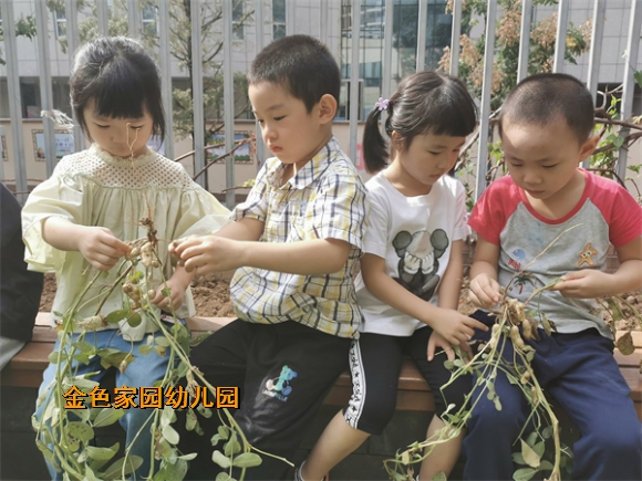 附件：IMG_20210924_094013.jpg