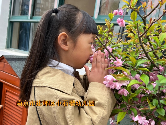 附件：QQ图片20240407100214.jpg
