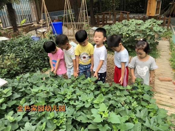 附件：IMG_0273.JPG