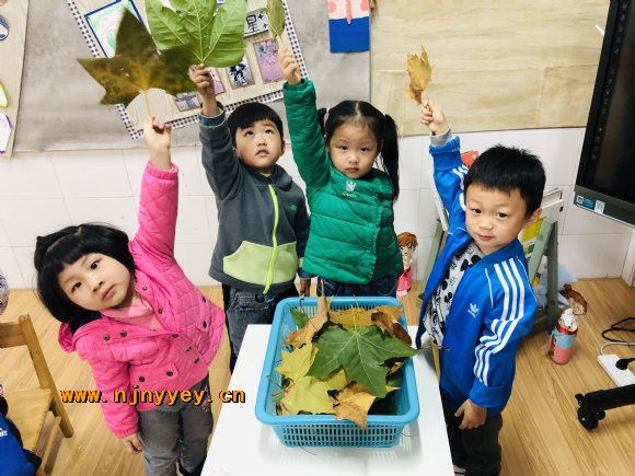 附件：小二班IMG_7943(20201104-000033).JPG
