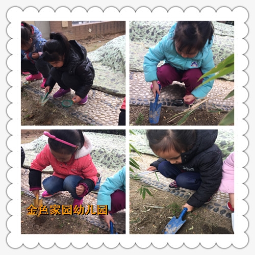 附件：2.jpg